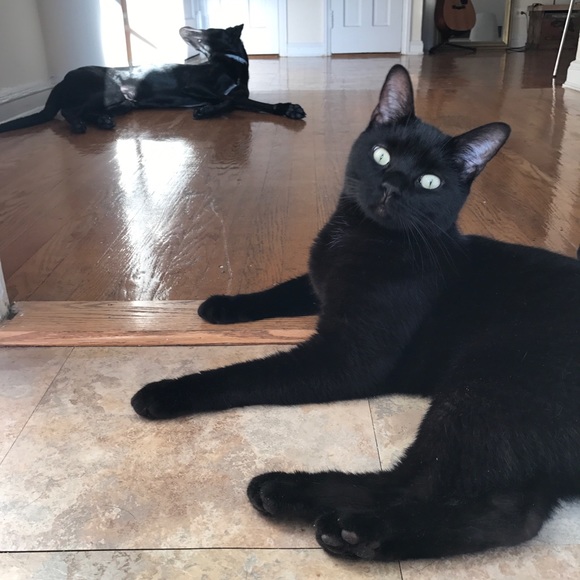 Meet the Posher - Picture 2 of 3